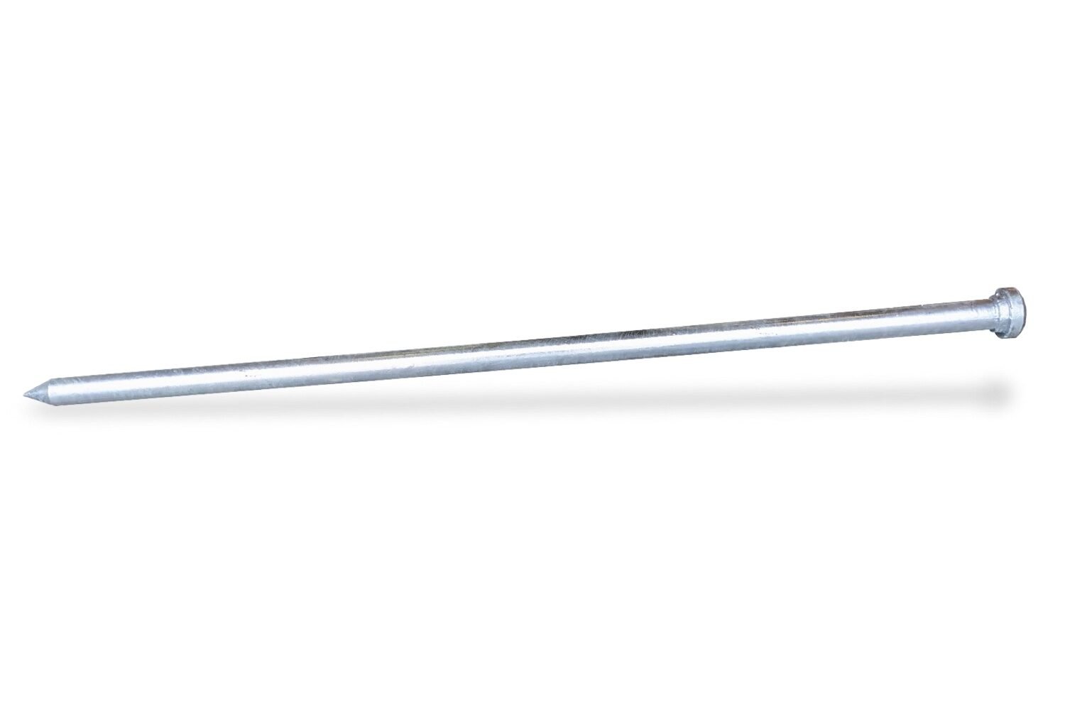 Ronde haring | 120cm | Bolkop